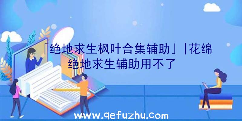 「绝地求生枫叶合集辅助」|花绵绝地求生辅助用不了